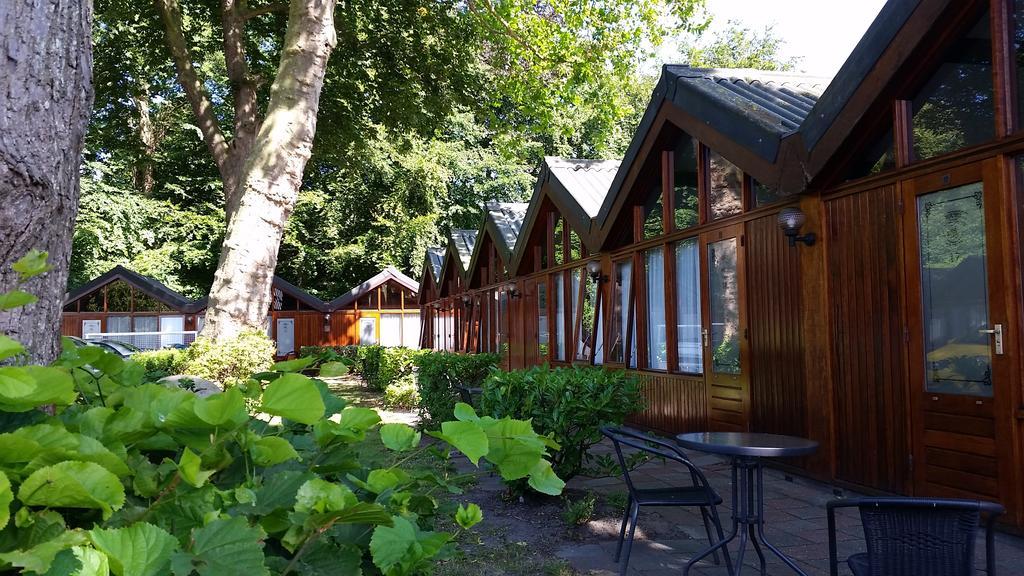 Motel Oostvoorne Værelse billede